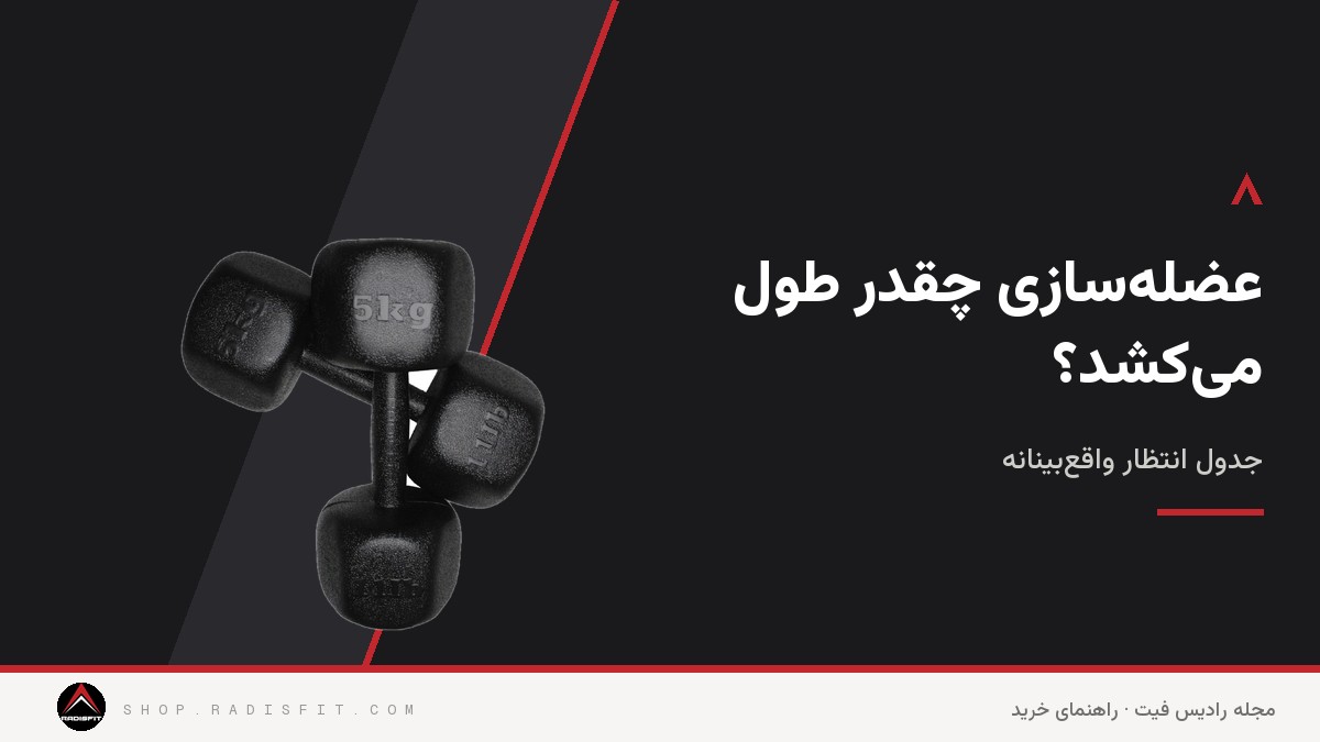 عضله‌سازی چقدر طول می‌کشد؟ جدول انتظار واقع‌بینانه