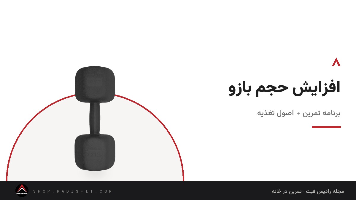 افزایش حجم بازو: برنامه تمرین + اصول تغذیه