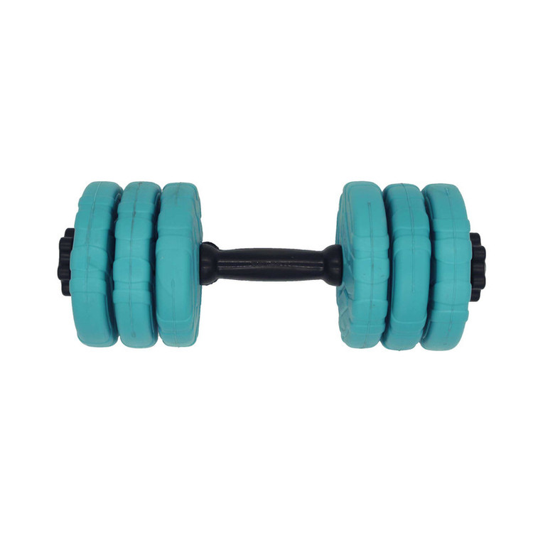دمبل گرد قابل تنظیم وزن 6 کیلوگرم رادیس فیت مدل DVP 6-1000 one handle